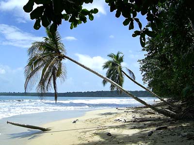 CRUCEROS COSTA RICA OFERTAS